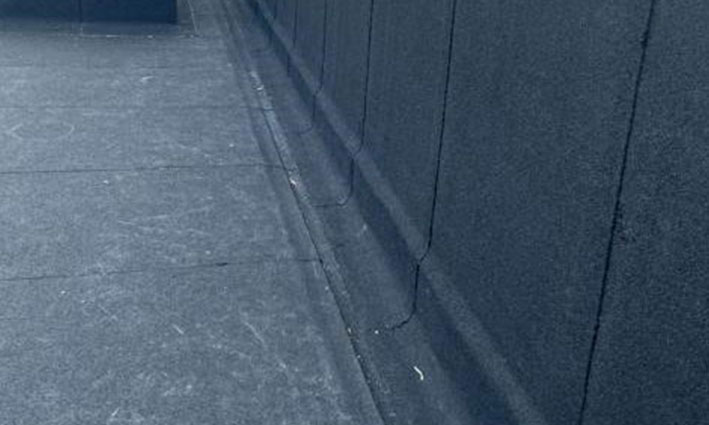 flatroof photos