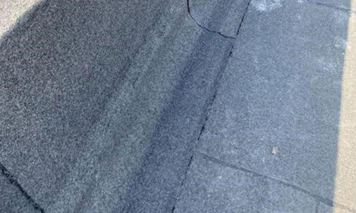 flatroof photos