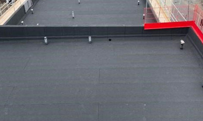 flatroof photos